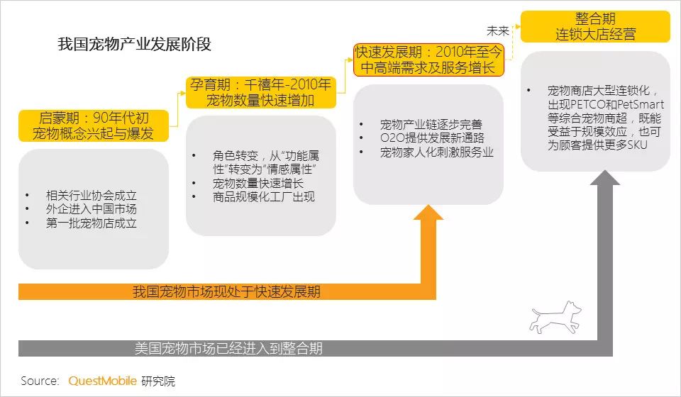 抖音觸發「聖杯之戰」，短視頻與「萌寵經濟」攜手撈金 寵物 第10張