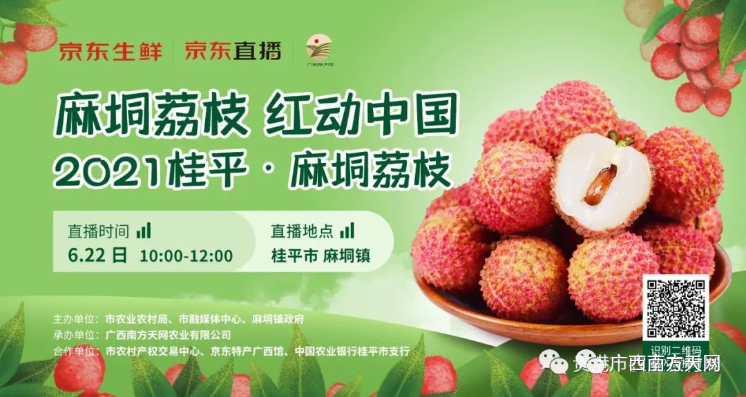 产销对接活动周线上直播带货助力桂平麻垌荔枝销售