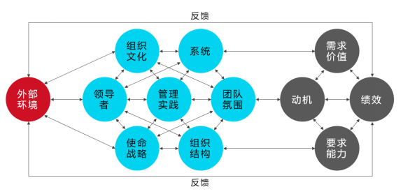 组织发展:任务,视角与胜任力
