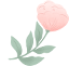ͼƬ