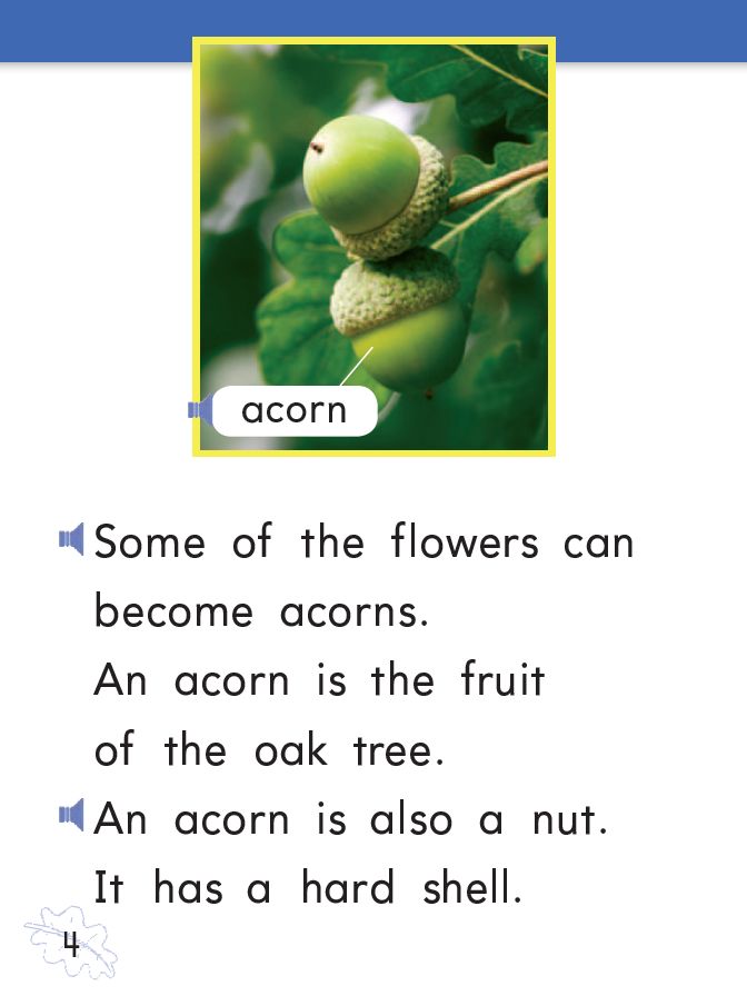 R S Y 周末英文绘本故事丨an Acorn Grows 睿晟源语言艺术学校k12英语 微信公众号文章阅读 Wemp