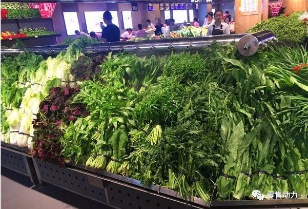 蔬菜各类别商品保鲜攻略! 蔬菜各类别商品保鲜攻略!