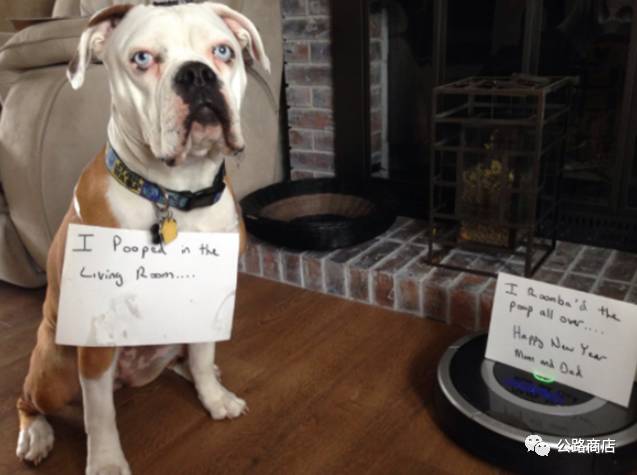 扫地机器人狗以及狗屎