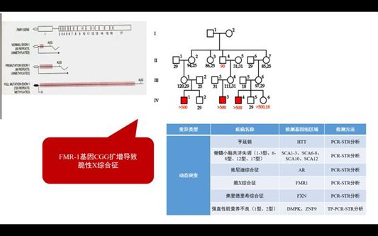 基因检测什么叫野生型_基因检测全是野生型好是不好_基因检查结果野生型什么意思