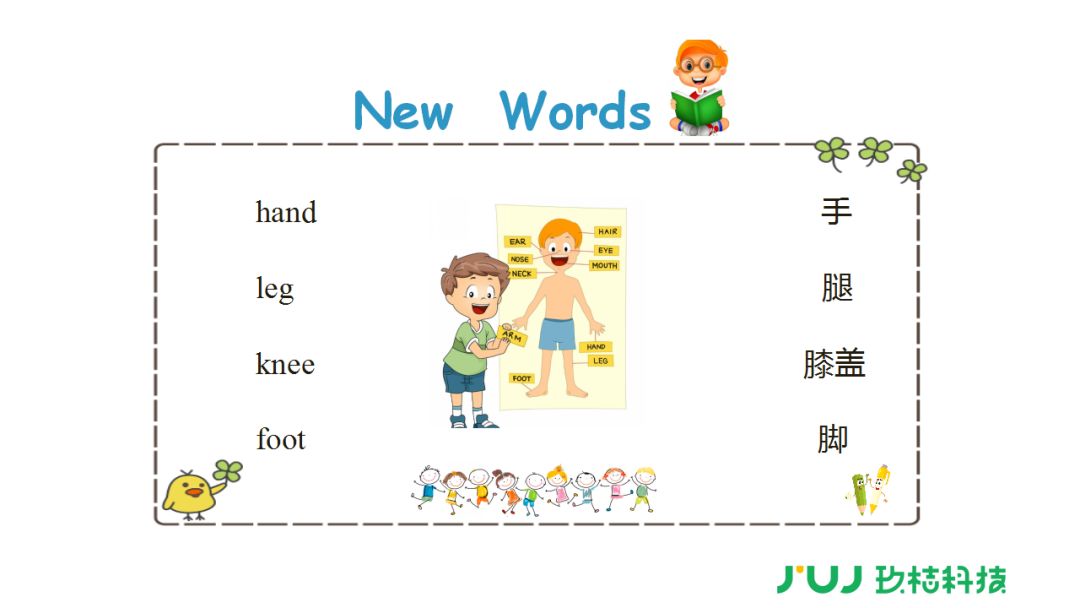 人教精通版小学英语3-6年级上册Unit 3 第一课时预习详解！相关资料 5