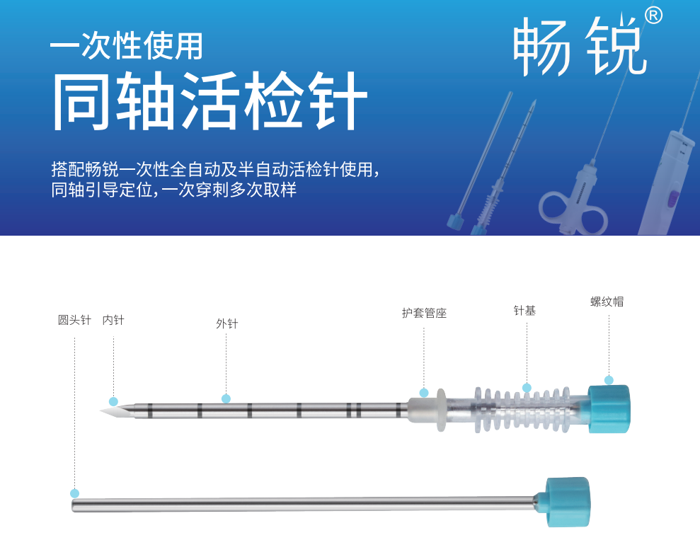同轴定位针怎么使用软组织活检针的“黄金搭档”——同轴活检针_https://www.jmylbn.com_新闻资讯_第4张