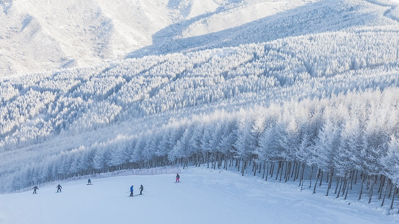 张家口崇礼雪景图片