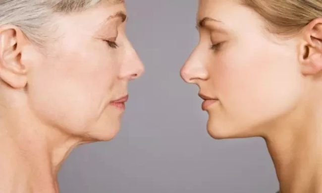 听说酵素抗衰老，真的吗？