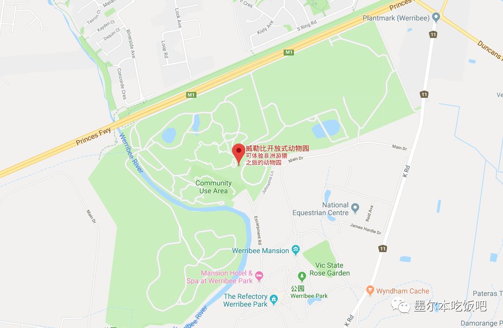 墨尔本动物园出游攻略，不容错过！亲子游必备，看看这些超可爱的萌物（组图） - 27