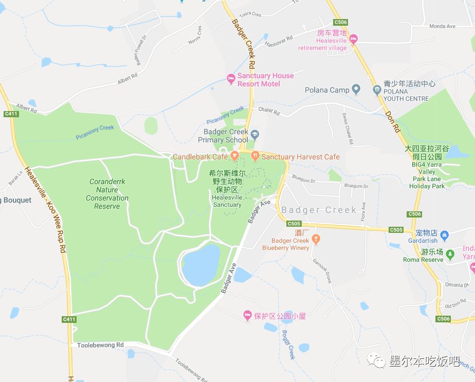 墨尔本动物园出游攻略，不容错过！亲子游必备，看看这些超可爱的萌物（组图） - 20