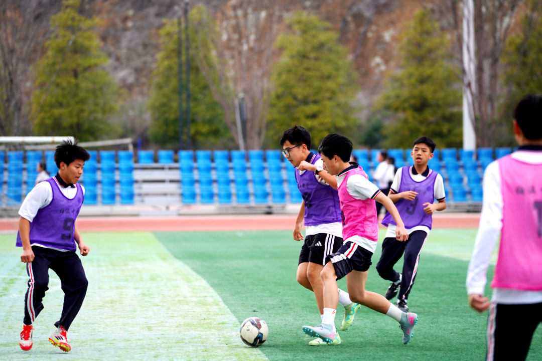 微信图片_20260415084952_19_703.png