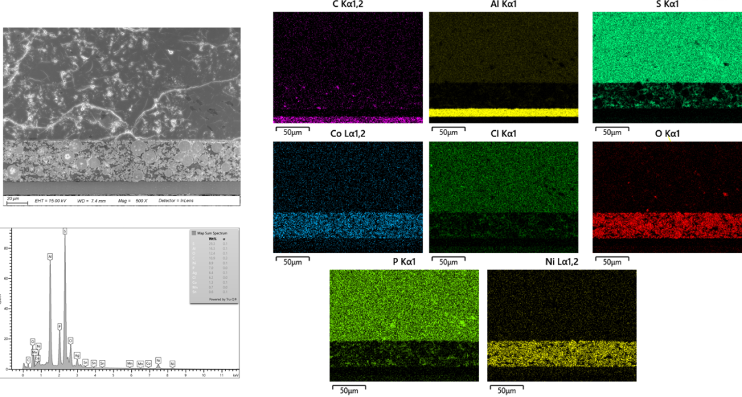UFM-1000离子束切割抛光仪应用分享——锂电池样品表征