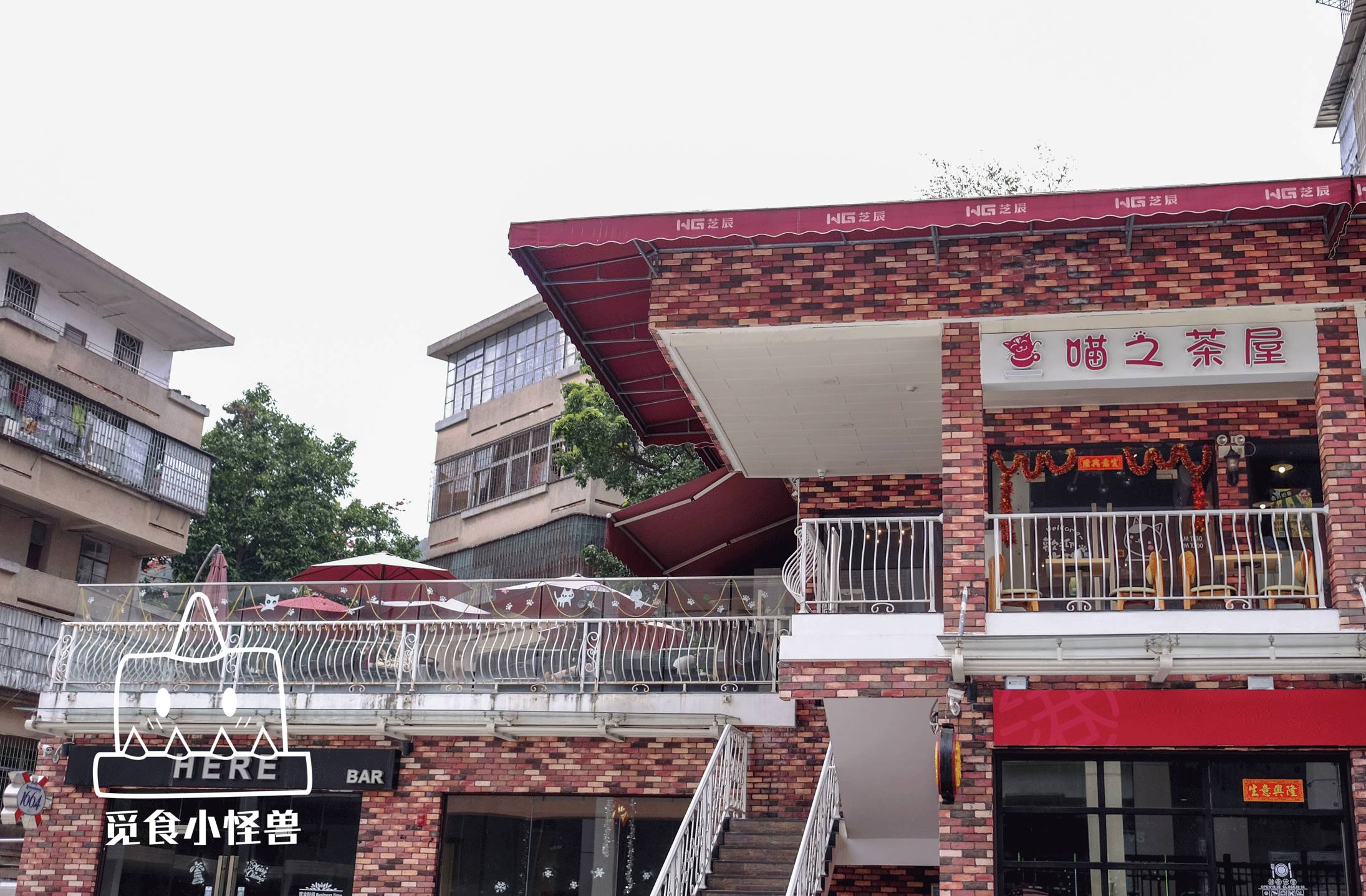 陪32只世界名猫在喵之茶屋喝一杯下午茶