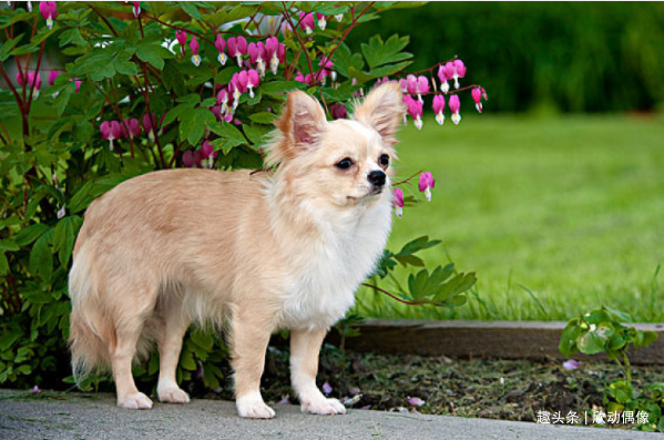 11月3日是什么日子 后厨小野 河池新闻