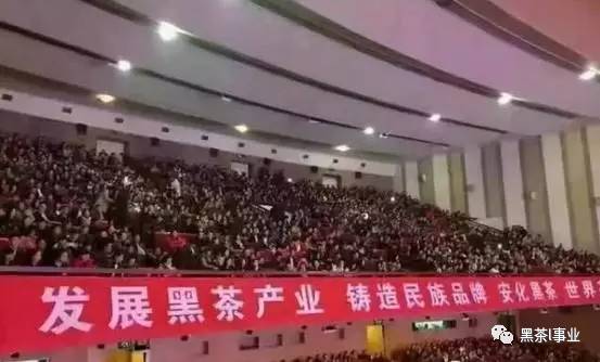 【今日头条】为什么今天很多传统老板转行做黑茶？答案在这里！