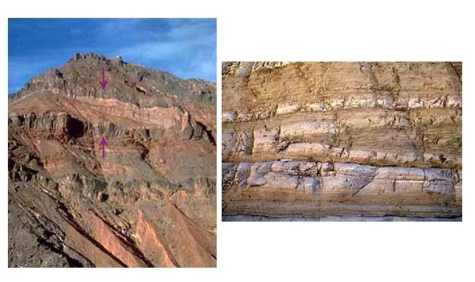 何为地质构造？典型地质构造图文分析的图38