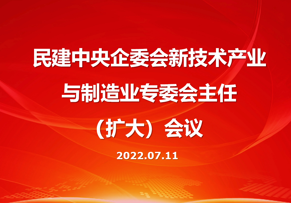 王金山出席民建中央新技术产业与制造业专委会主任会议并发言_金山