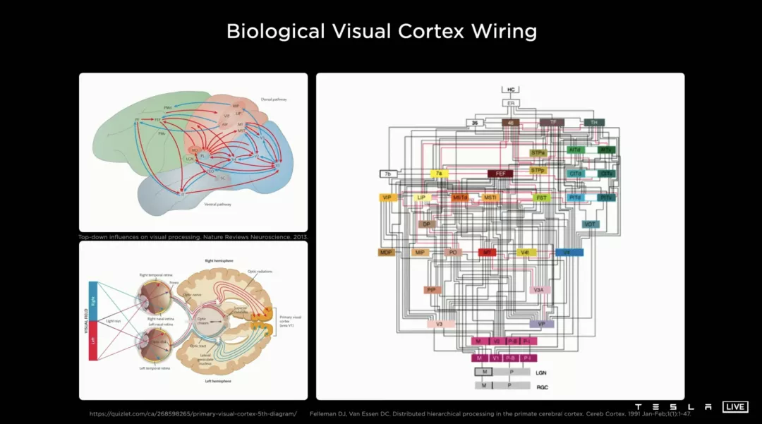 马斯克 我信摄像头 我要死磕到底 Hi有料