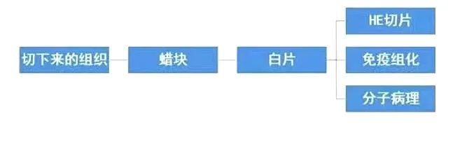 什么是病理蜡块医生让我借个病理切片？白片、HE切片、免疫组化切片、蜡块都是啥？_https://www.jmylbn.com_新闻资讯_第5张