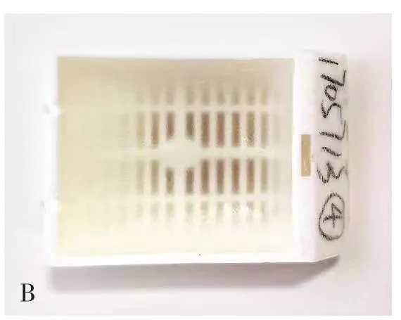 什么是病理蜡块医生让我借个病理切片？白片、HE切片、免疫组化切片、蜡块都是啥？_https://www.jmylbn.com_新闻资讯_第7张