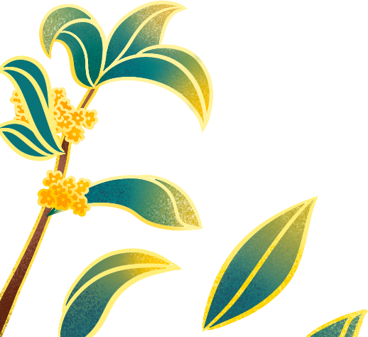 医讯怎么用【医讯】注重细节、工作严谨的静脉用药调配中心_https://www.jmylbn.com_新闻资讯_第11张