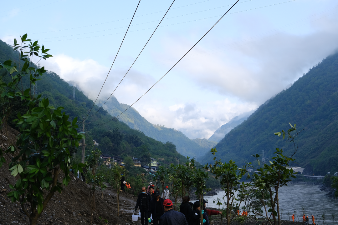 12"植树活动 - 工作动态_贡山县茨开镇人民政府_政府信息公开 - 贡山