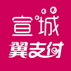 翼支付收款码