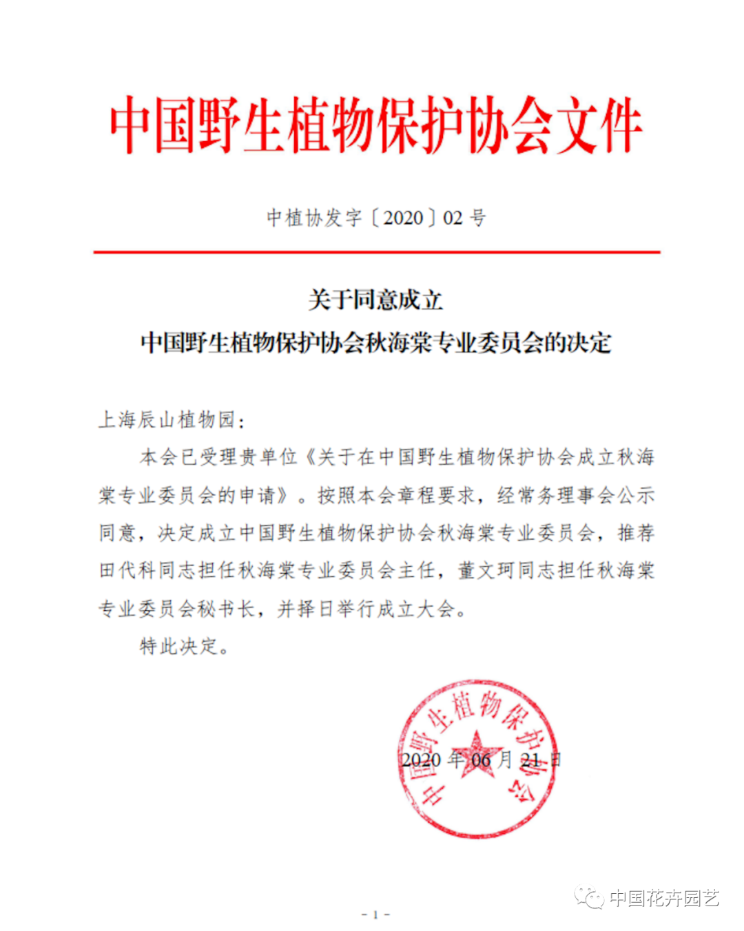 中植协秋海棠专委会成立 “棠迷”们有家了