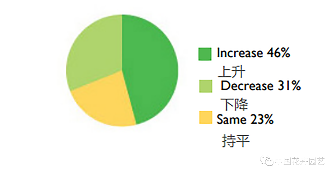71%受访者看好后疫情时代，AIPH国际园艺生产者协会发布最新全球花卉行业调查 