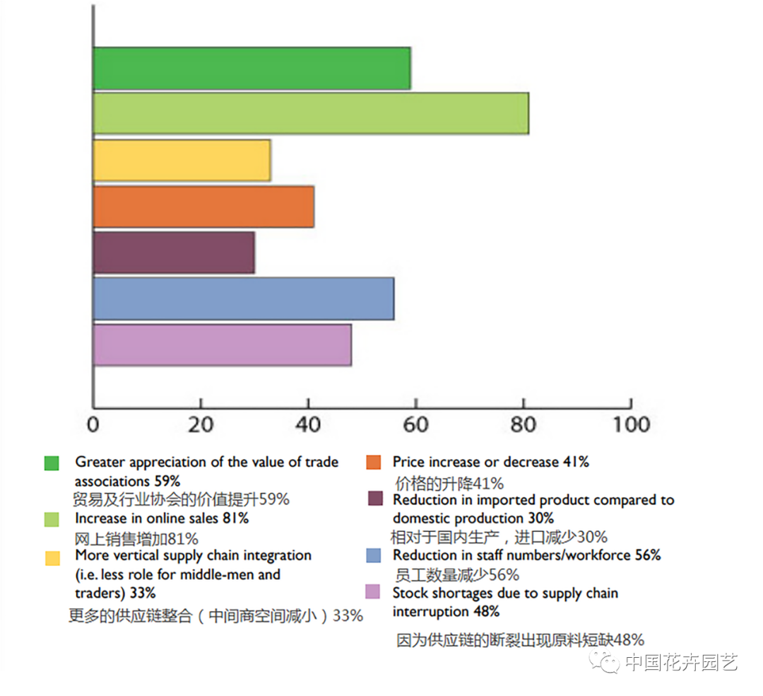 71%受访者看好后疫情时代，AIPH国际园艺生产者协会发布最新全球花卉行业调查 