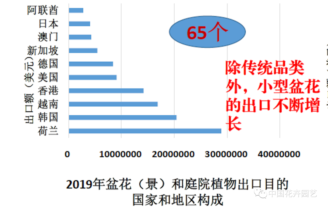 信心來(lái)了！2019年花卉出口保持增速，進(jìn)口10年來(lái)首降 | 2020全國(guó)花卉形勢(shì)分析會(huì)
