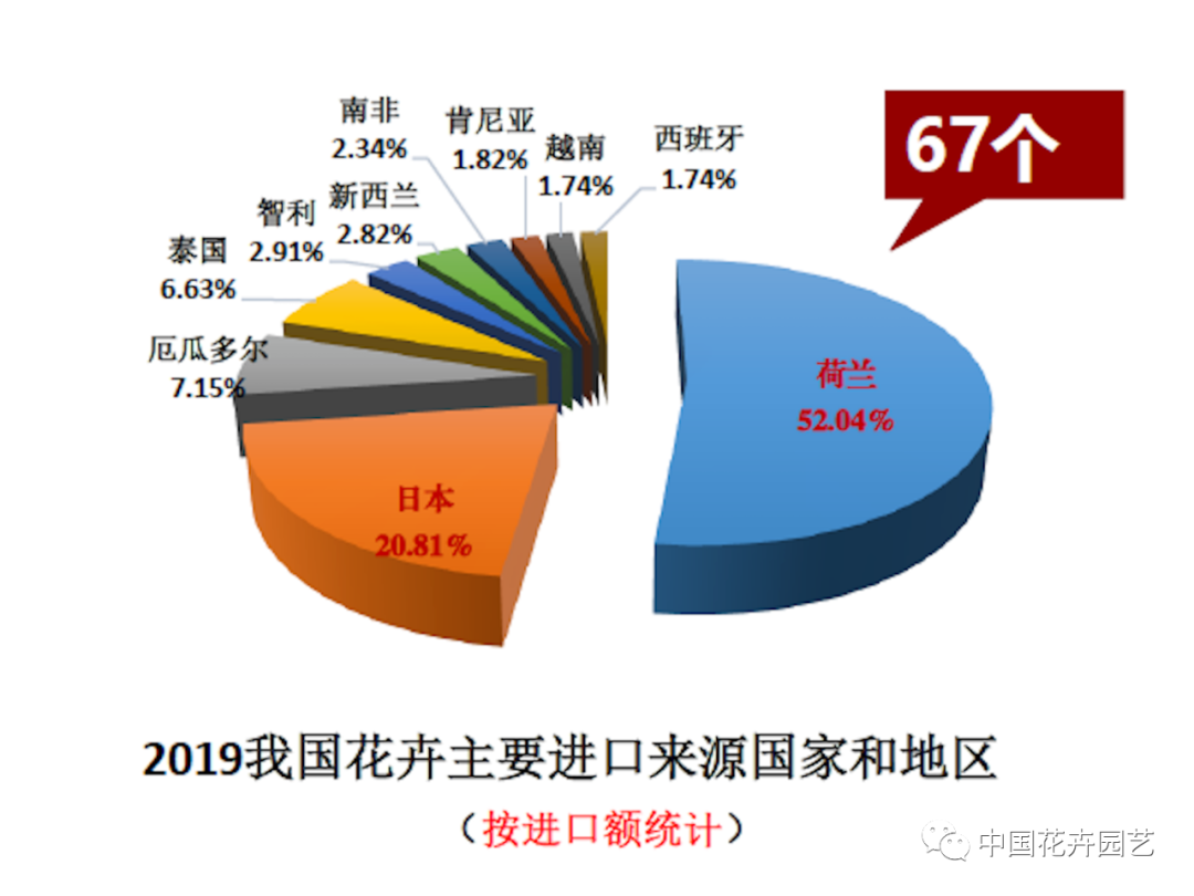 信心來(lái)了！2019年花卉出口保持增速，進(jìn)口10年來(lái)首降 | 2020全國(guó)花卉形勢(shì)分析會(huì)