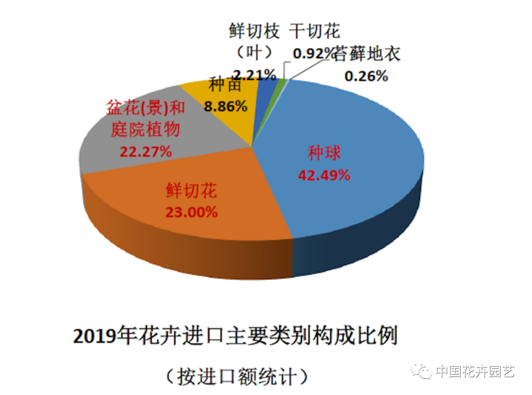 信心來(lái)了！2019年花卉出口保持增速，進(jìn)口10年來(lái)首降 | 2020全國(guó)花卉形勢(shì)分析會(huì)