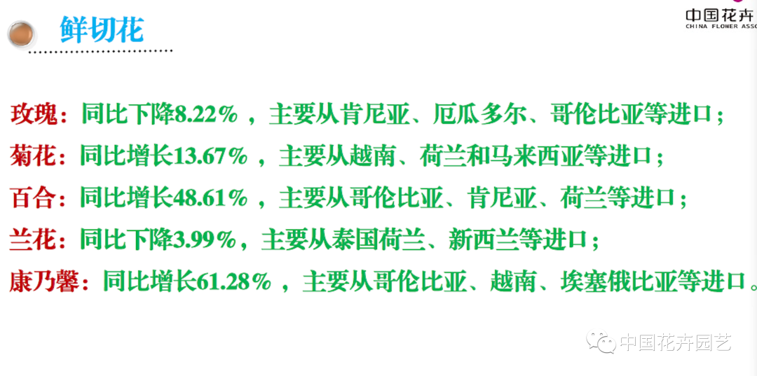 信心來(lái)了！2019年花卉出口保持增速，進(jìn)口10年來(lái)首降 | 2020全國(guó)花卉形勢(shì)分析會(huì)