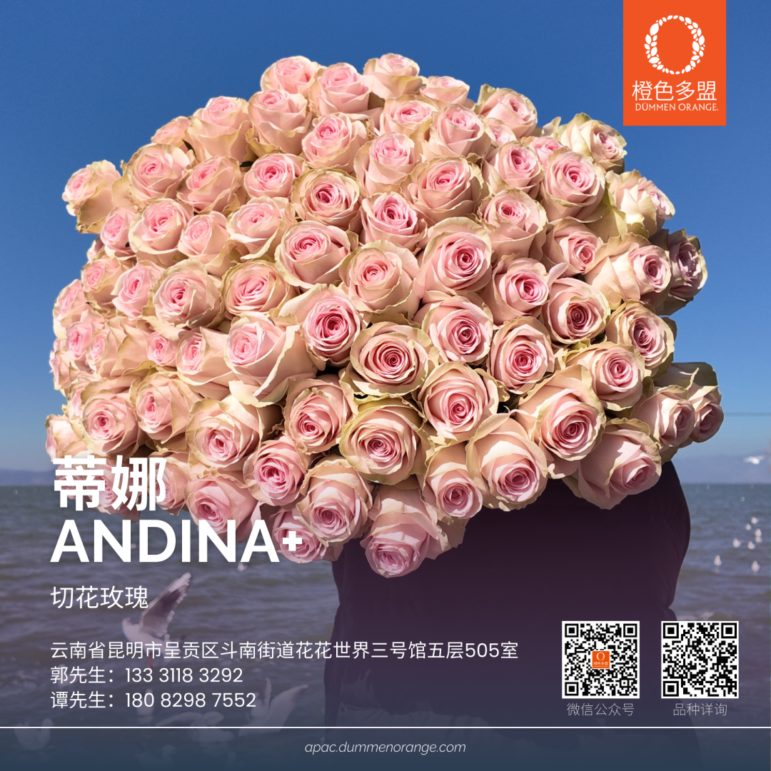 怎么介绍ipm10陈凤翔：10年回眸IPM埃森国际花展有感 ｜ 动态_https://www.jmylbn.com_新闻资讯_第20张