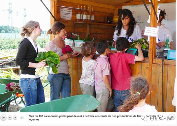 , 大汇总 | 巴黎近郊可以亲手采摘最新鲜蔬菜、水果和鲜花的农场！, My Crazy Paris