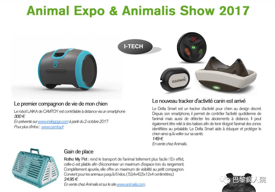 , Animal Expo | 巴黎惊现大型聚众吸猫吸狗现场！血槽已空！！, My Crazy Paris