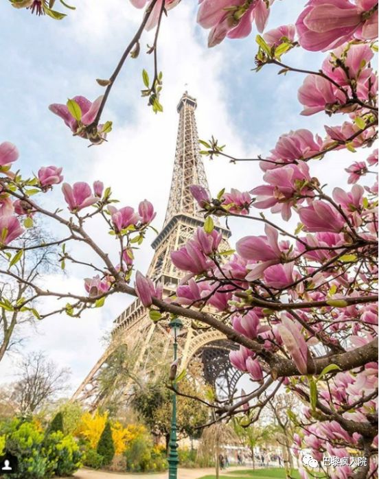 , 巴黎，谢谢你 | 带着春天该有的颜色，该有的你&#8230;, My Crazy Paris