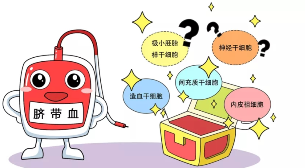 小猫脐带夹怎么用夹叙夹议：私人存脐带血使用概率低 完善公共捐赠更有利_https://www.jmylbn.com_新闻资讯_第2张