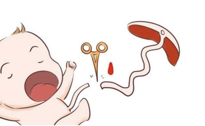 小猫脐带夹怎么用夹叙夹议：私人存脐带血使用概率低 完善公共捐赠更有利_https://www.jmylbn.com_新闻资讯_第4张