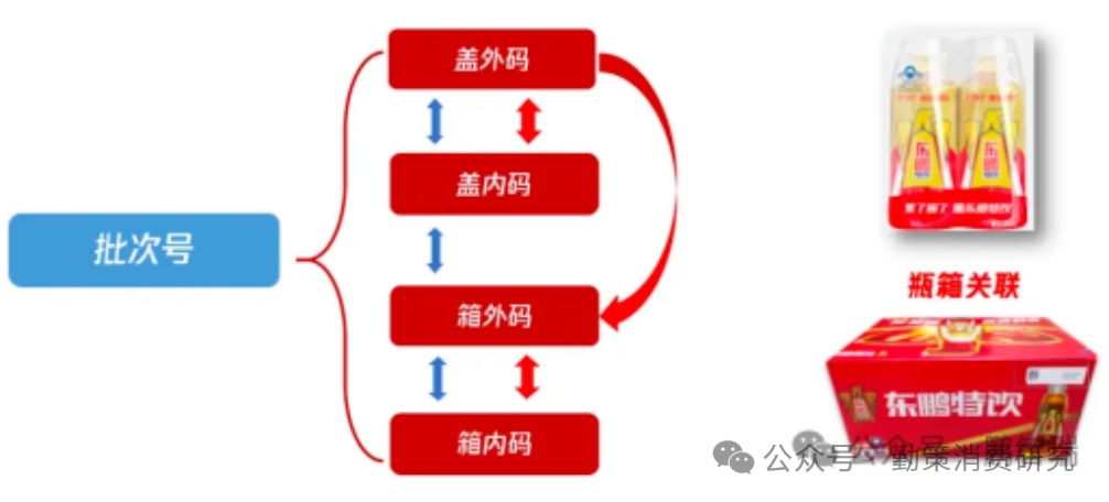 东鹏饮料五码关联