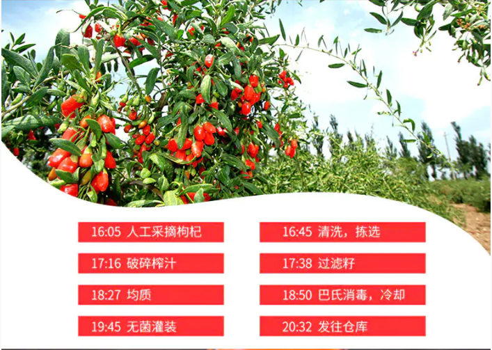 红畔枸杞原浆,采用《中华药典》记载唯一可入药的宁夏中宁县枸杞,5小时8道工序急速鲜制,1小袋浓缩660颗枸杞精华。免冲泡开袋即饮 红畔枸杞原浆,采用《中华药典》记载唯一可入药的宁夏中宁县枸杞,5小时8道工序急速鲜制,1小袋浓缩660颗枸杞精华。免冲泡开袋即饮