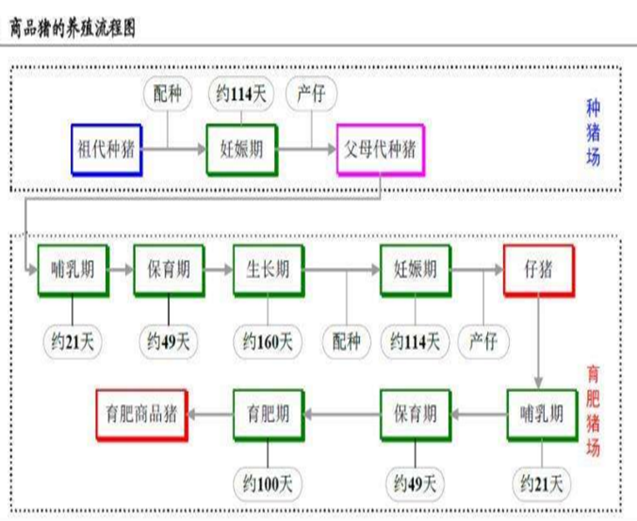 2021共同富裕啟示雜談的圖8