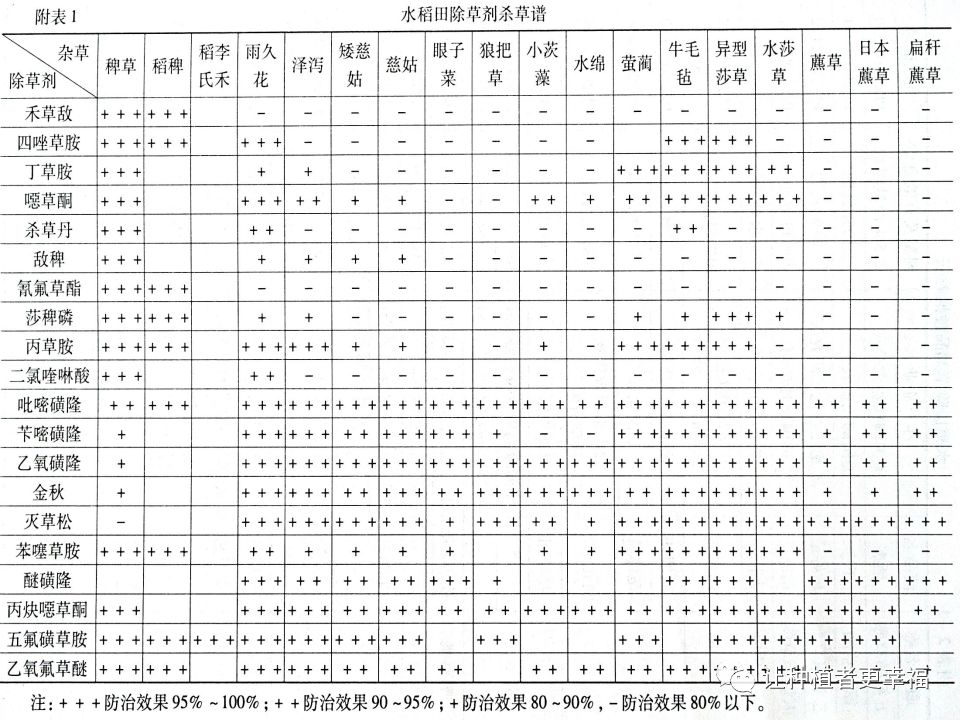 野老除草剂有效时间多长_野老除草剂_野老除草剂能除哪些草