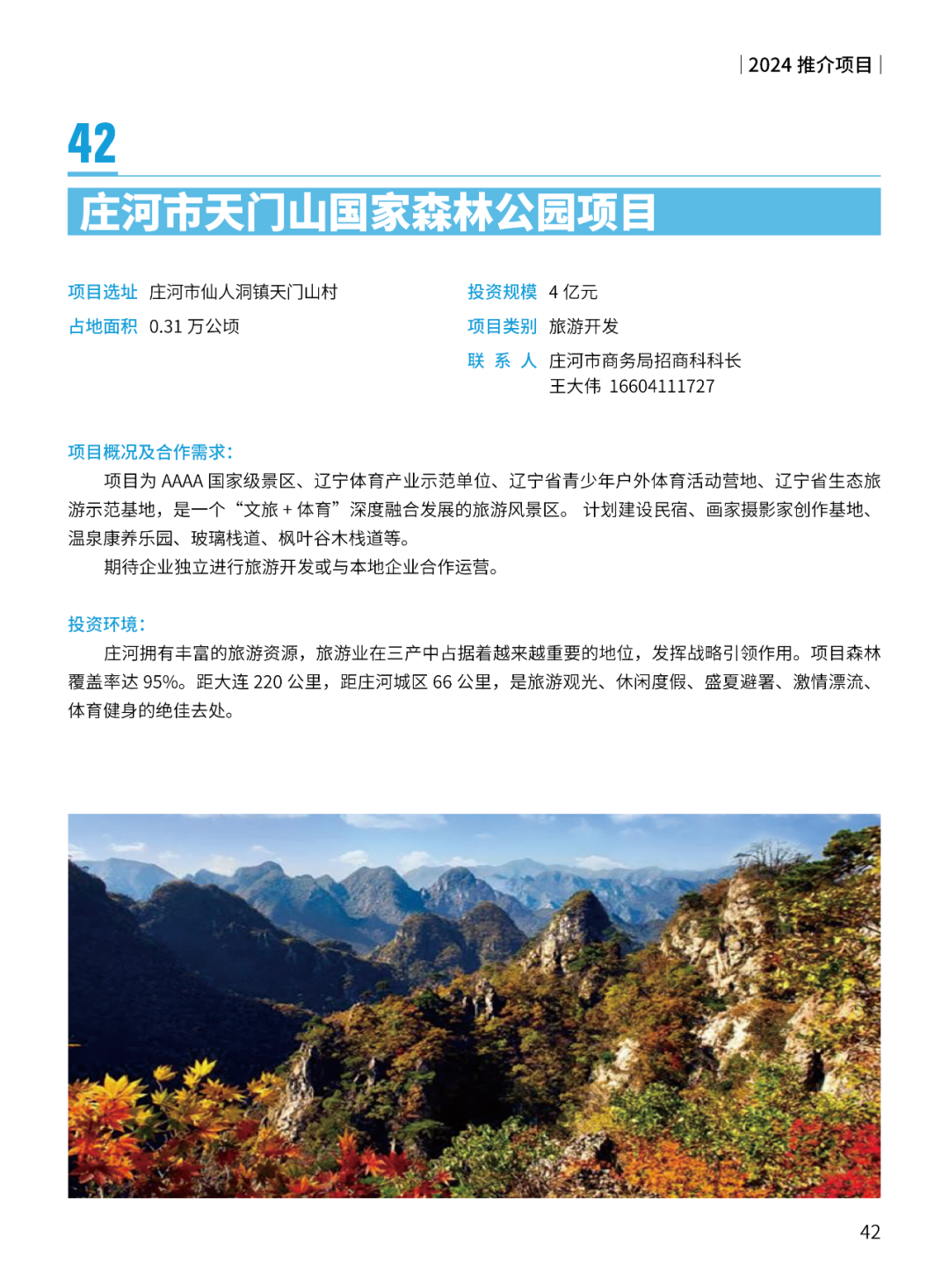 2024大连市招商推介项目册（第一批）(图45)