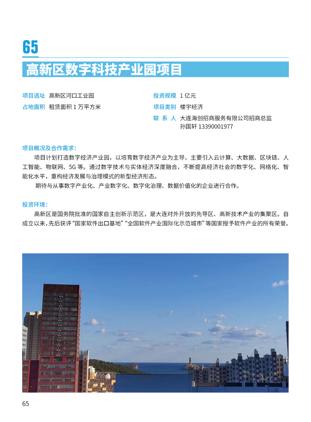 2024大连市招商推介项目册（第一批）(图68)