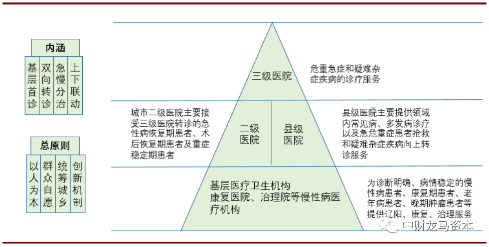 werfen医疗器械怎么样深度分析！POCT市场竞争格局与主要厂家！_https://www.jmylbn.com_新闻资讯_第26张