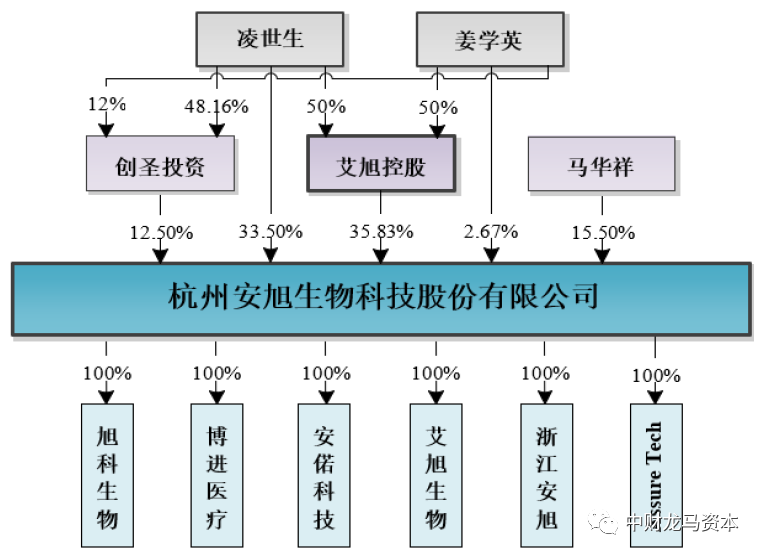 werfen医疗器械怎么样深度分析！POCT市场竞争格局与主要厂家！_https://www.jmylbn.com_新闻资讯_第49张