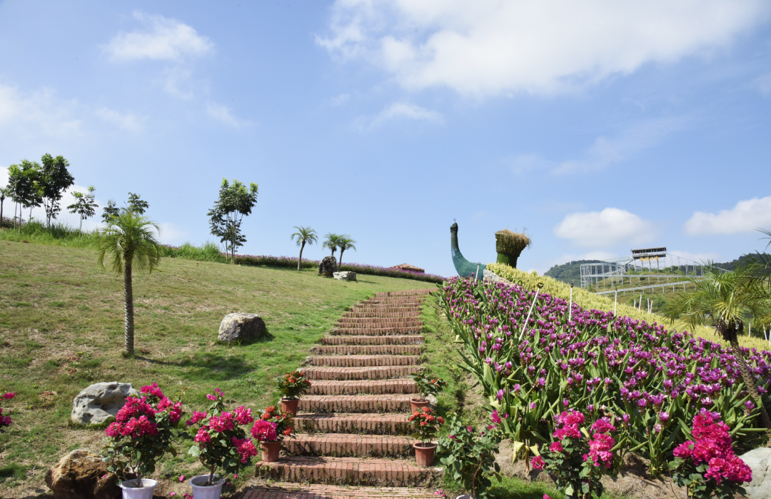 荒山摇身变成网红打卡点怀集积极探索文旅融合发展新模式