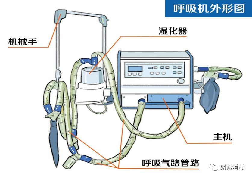 为什么呼吸机需要消毒院感管理 ｜ 呼吸机内置管路清洗、消毒及使用中的感染控制_https://www.jmylbn.com_新闻资讯_第6张